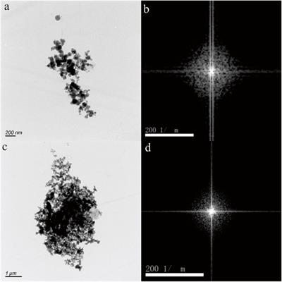 Biomimetic Fe-bearing nanoparticles in hot spring: morphology, origin and potential bioavailable Fe